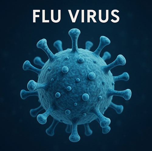 Flu virus can affect IBD patients on biologics, but it’s preventable with vaccines.