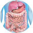 Gastroenterology