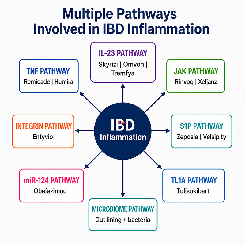 Diagram showing multiple inflammatory pathways involved in IBD inflammation, including TNF, IL-23, integrin, JAK, S1P, TL1A, miR-124 and microbiome pathways