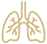 Pulmonary & Respiratory Expertise