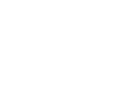 American Orthopaedic Association