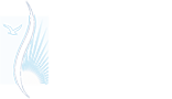 DISC