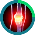 Knee Icon