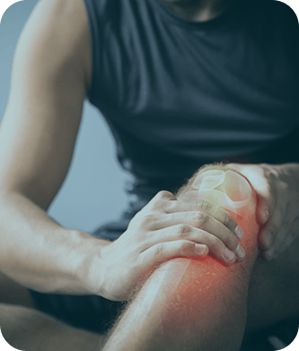 Picture of Knee