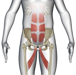 Sports Hernia Repair - Procedure
