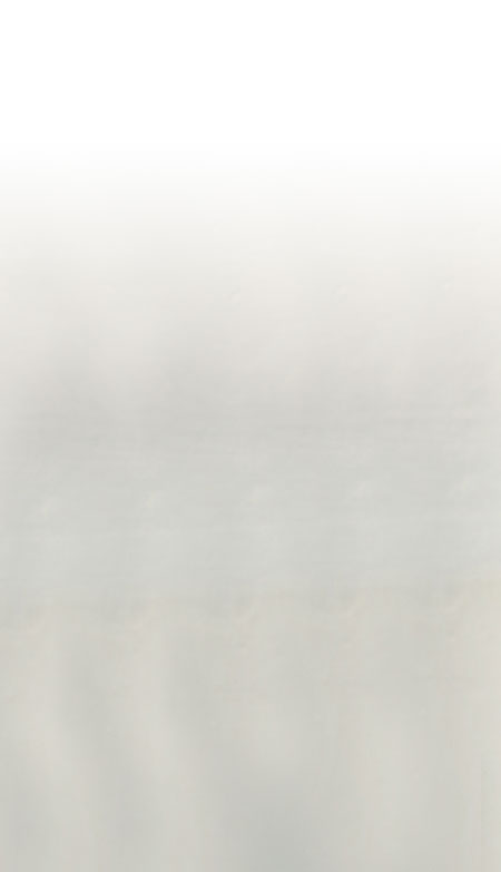 Orthopedic Trauma Surgeons, Detroit, Michigan, Warren, MI