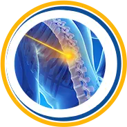 Spine Icon