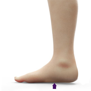 Flexible Flat Foot Sp