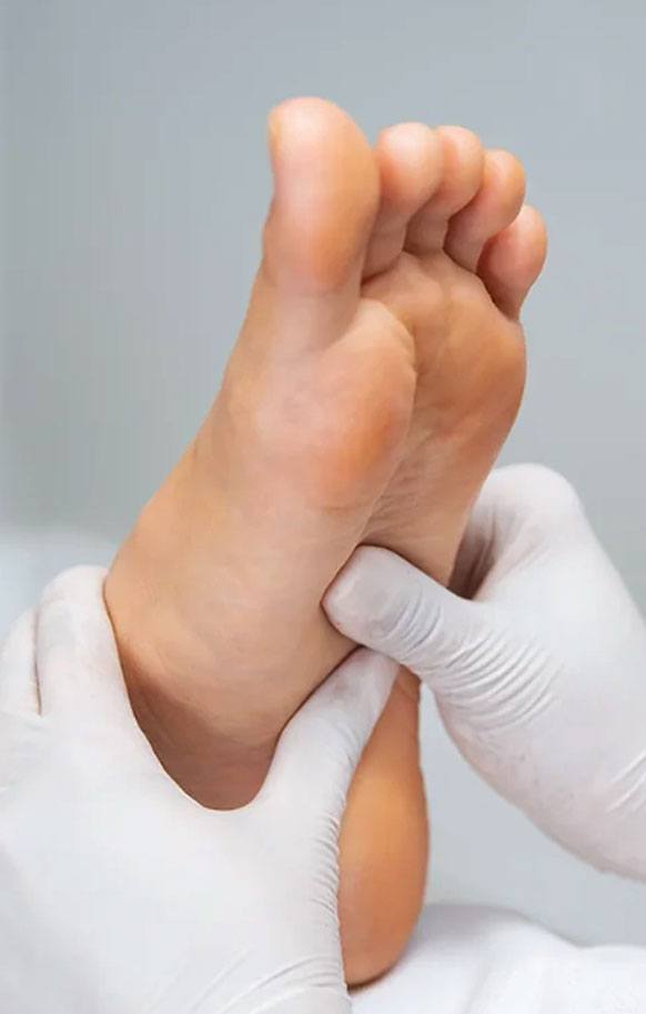Foot and Ankle Pathologies