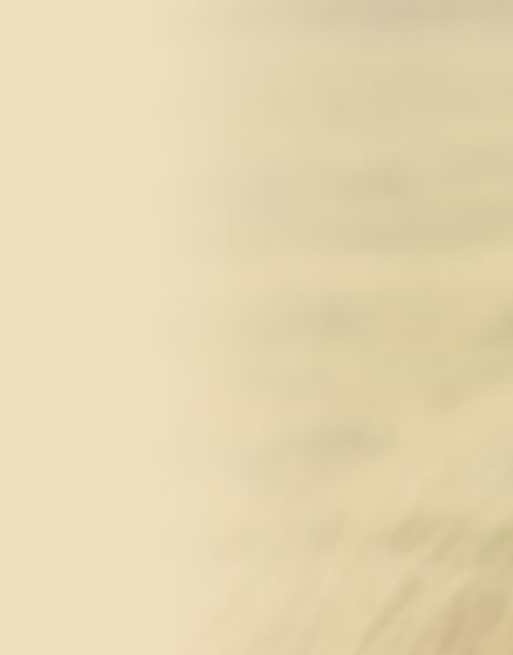 Mr. Priyank Sinha, Consultant Spinal Neurosurgeon