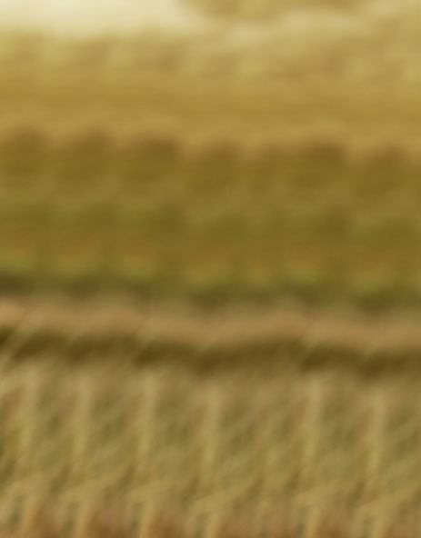 Mr. Priyank Sinha, Consultant Spinal Neurosurgeon