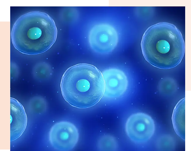 Regenerative Therapy logo