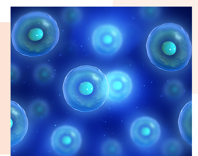 Regenerative Therapy logo