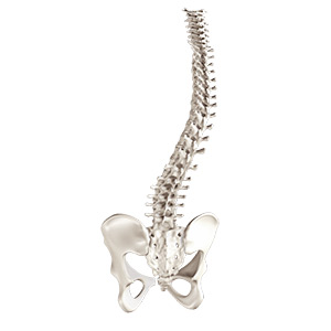 Spine Deformity Surgery