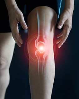 All Things Knee Pain