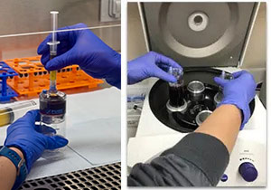 Picture of Cell-based Therapy