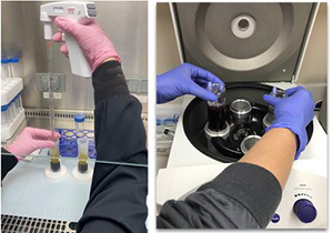 Picture of Cell-based Therapy