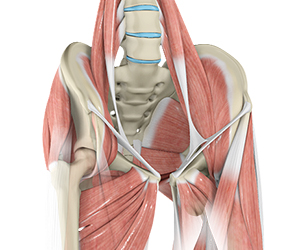 Hip Muscle Strain - Educational Picture