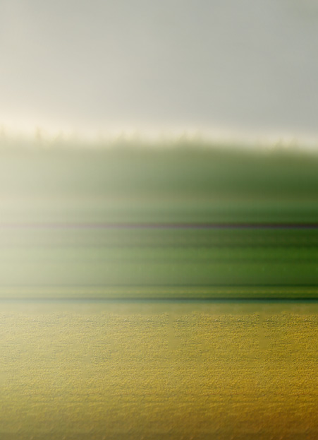 Banner image center