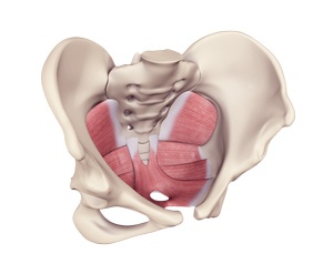 Pelvic Floor Dysfunction Img