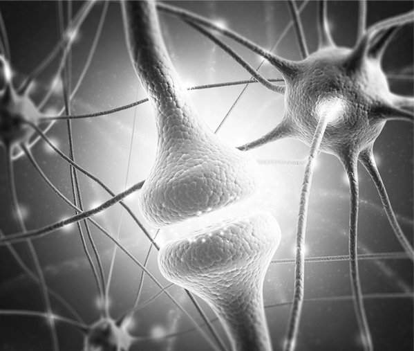 Picture of Enhanced Male Performance Program