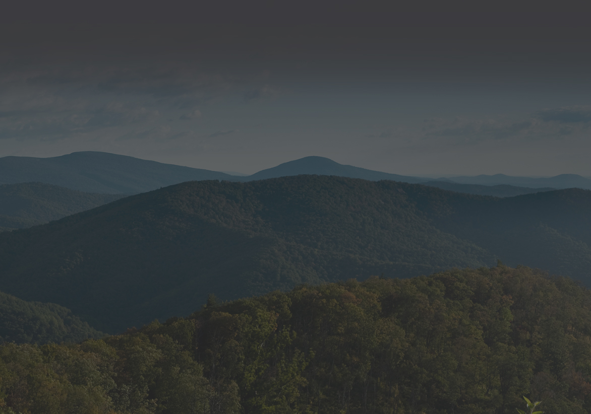 Banner image center