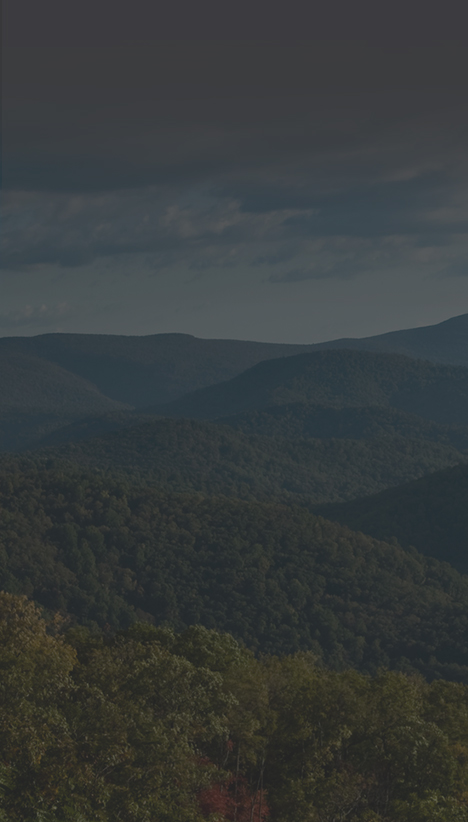 Banner image left