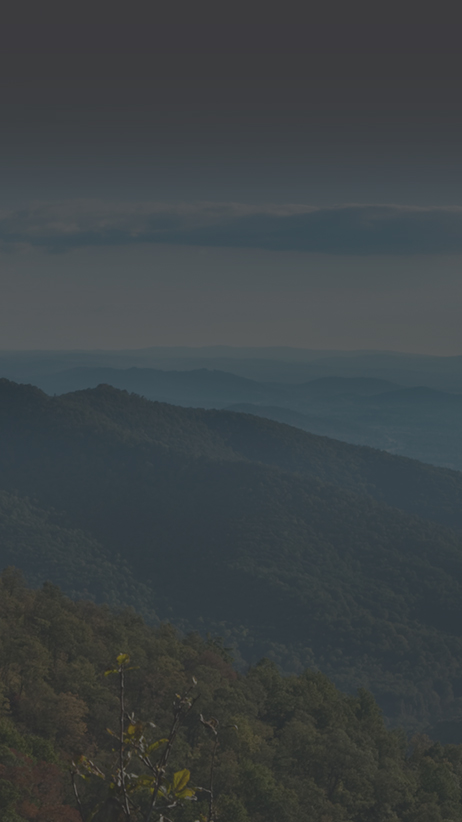Banner image left