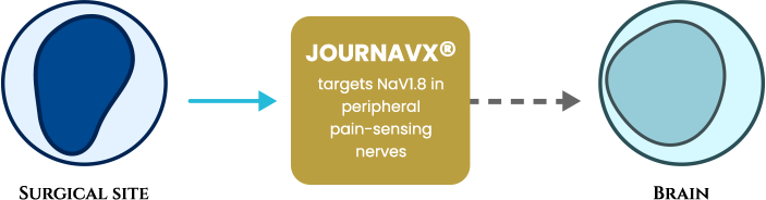 JOURNAVX