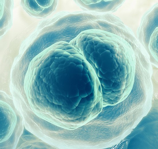 Principal Investigator demonstrating Lipogems regenerative medicine