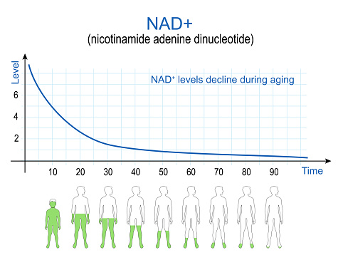 Graph of NAD+