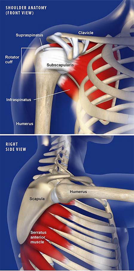 Snapping Scapula Syndrome Santa Barbara Scapulothoracic Syndrome San 