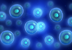 Stem Cell Therapy Image