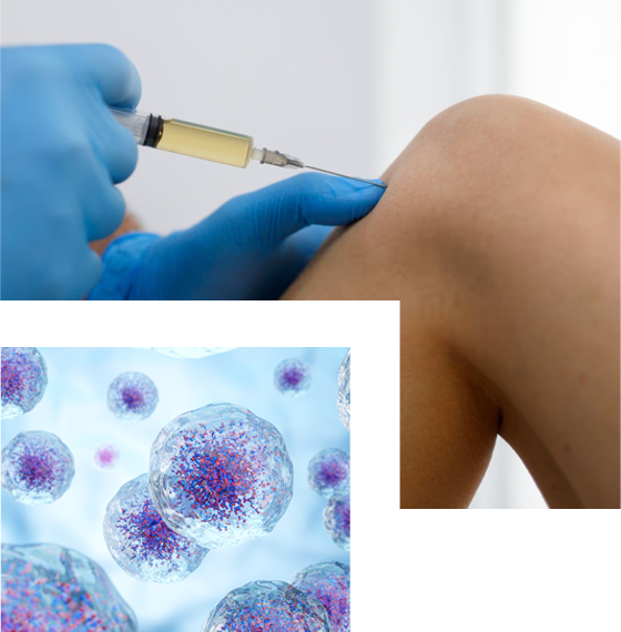 Regenerative Medicine - Prp & Stem Cell Therapy