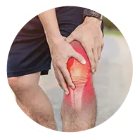 Knee Images