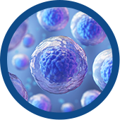 Stem Cells PRP Images