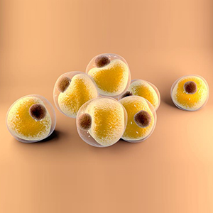 Microfragmented Adipose Tissue (MFAT)