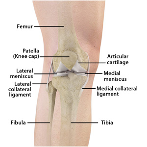 Unstable Knee img