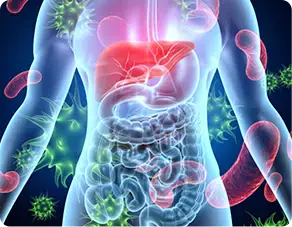Autoimmunity and Inflammation Images