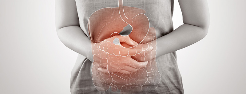 Functional Medicine Approach to Gut Health