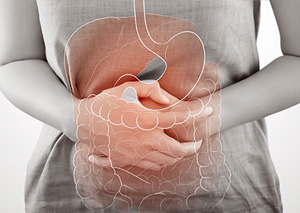 Gut Health Images