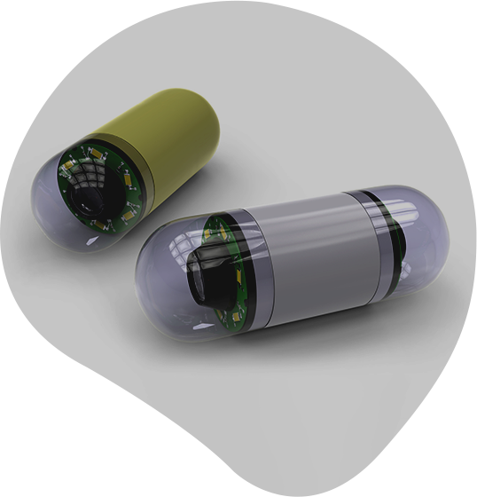 Motility & Ancillary Procedures