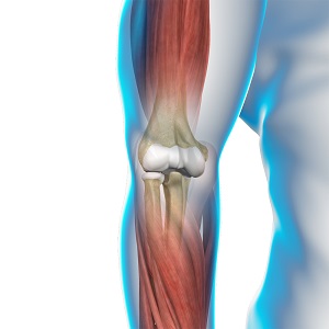 Ulnar Collateral Ligament (UCL) Injury