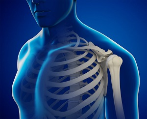 Shoulder Cartilage Restoration
