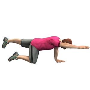 Spine Rehabilitation pic