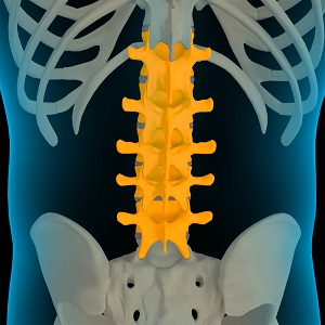 Lumbar Spine Anatomy pic