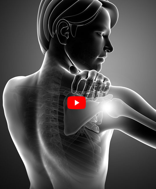 Educational Videos