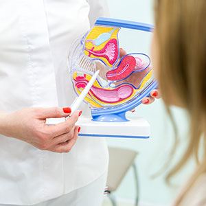 Picture of Sexual Health for Women