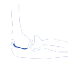Picture of Elbow