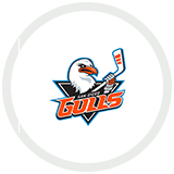 Picture of San Diego Gulls Hockey Club